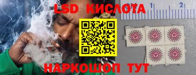 молекула духа Можга