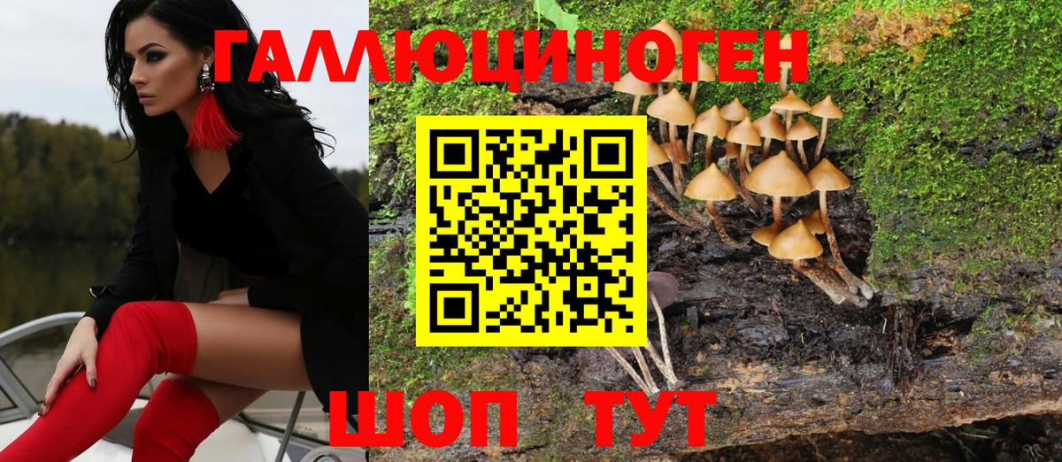 Псилоцибиновые грибы Cubensis Бугуруслан
